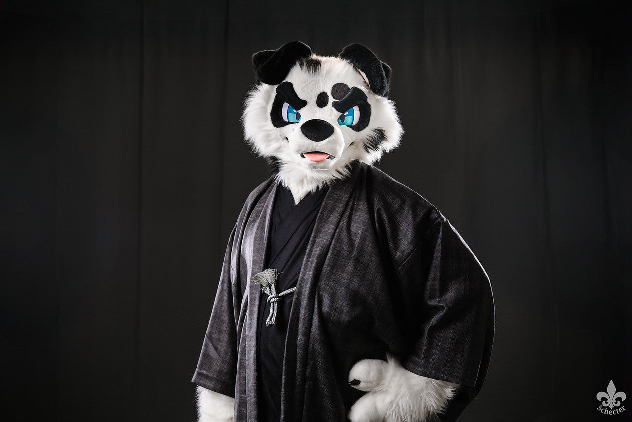 Finn the Dalmatian in a dark studio portrait by Schecter Photography.
